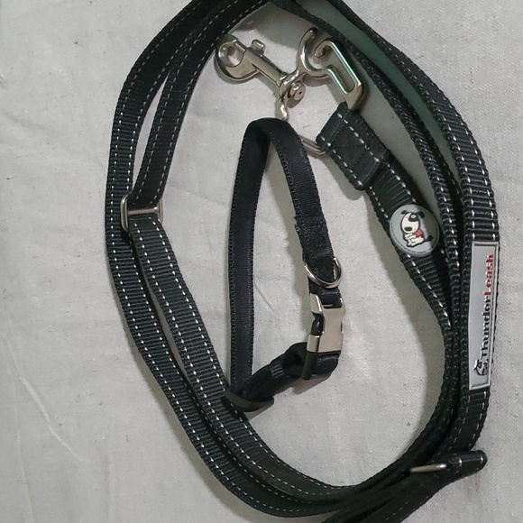 NWOT Thunderleash and collar - Picture 1 of 6